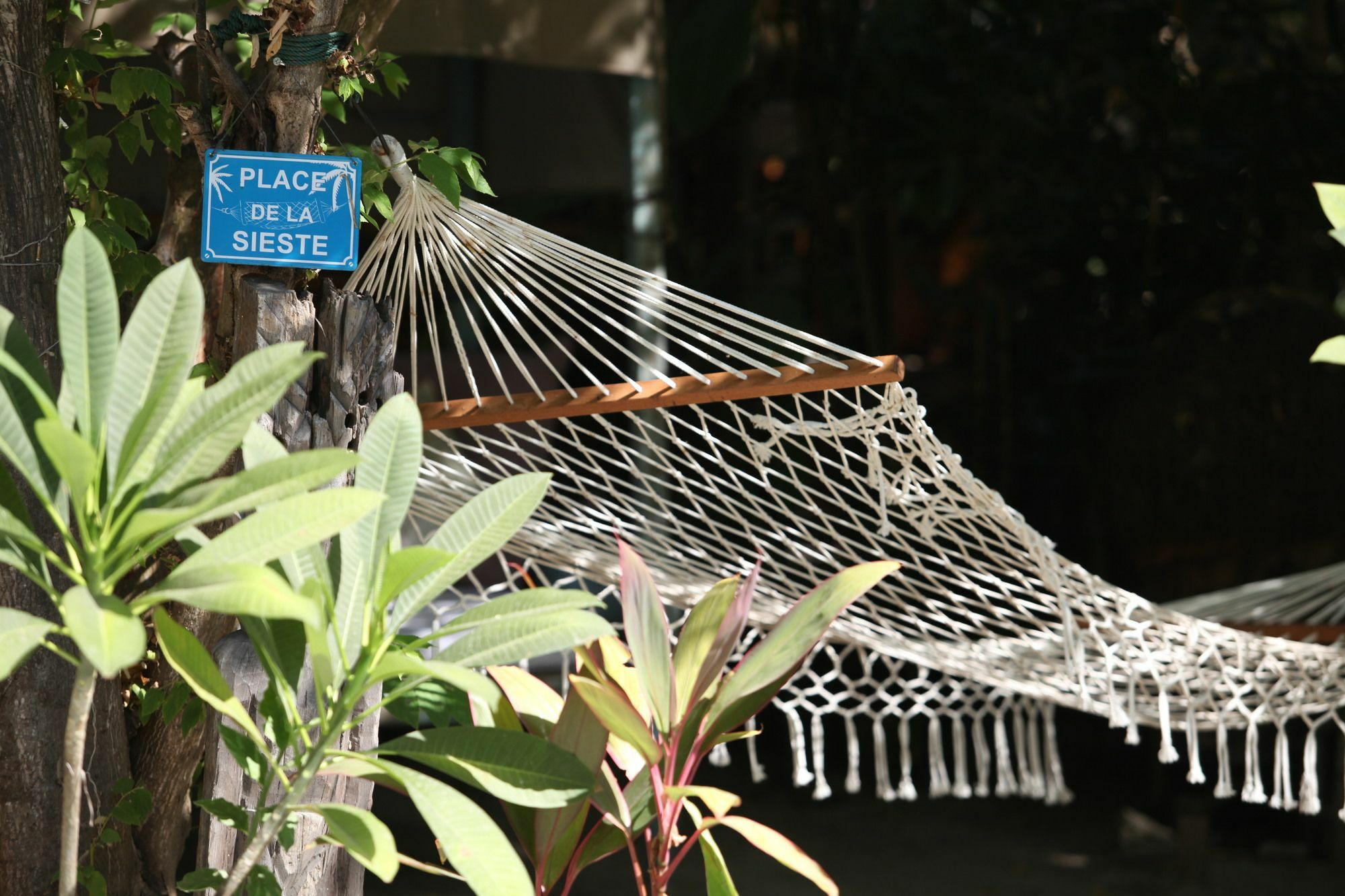 La Cocoteraie Ecolodge - Luxury Glamping Tents Gili Trawangan Bagian luar foto